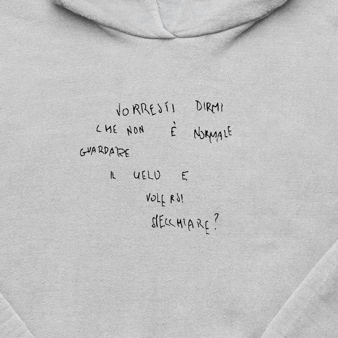 Schiuma VORRESTI DIRMI hoodie GRIGIO (PRE-ORDER)
