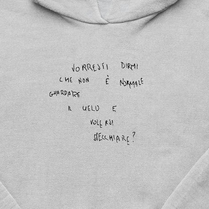 Schiuma VORRESTI DIRMI hoodie GRIGIO (PRE-ORDER)